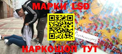 индика Дубна