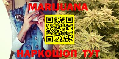 индика Дубна