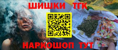 индика Дубна