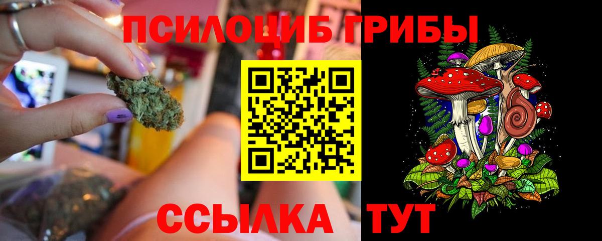 Псилоцибиновые грибы MAGIC MUSHROOMS  Вход с VPN  Галлюциногенные грибы Magic Shrooms  Одинцово 